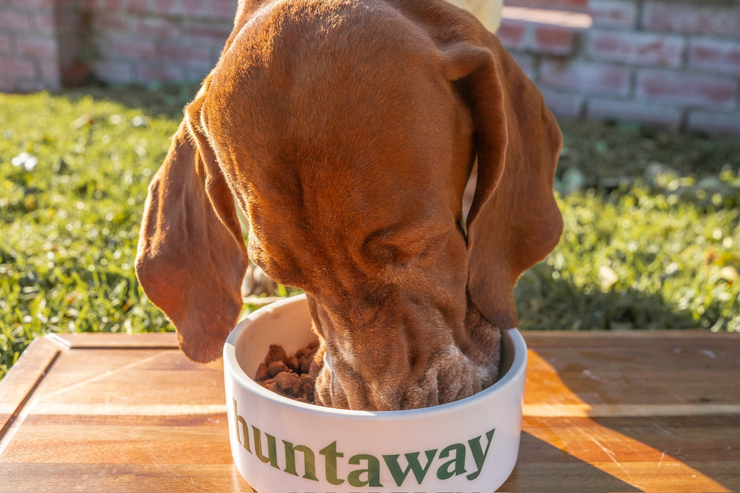 How is Dog Food ‘Freeze-Dried’?