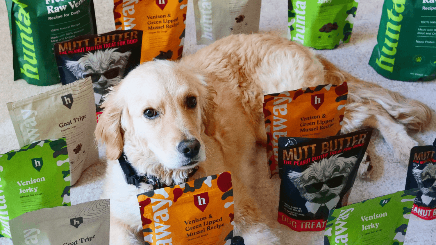 Announcement: Changes to Huntaway Sales Channels