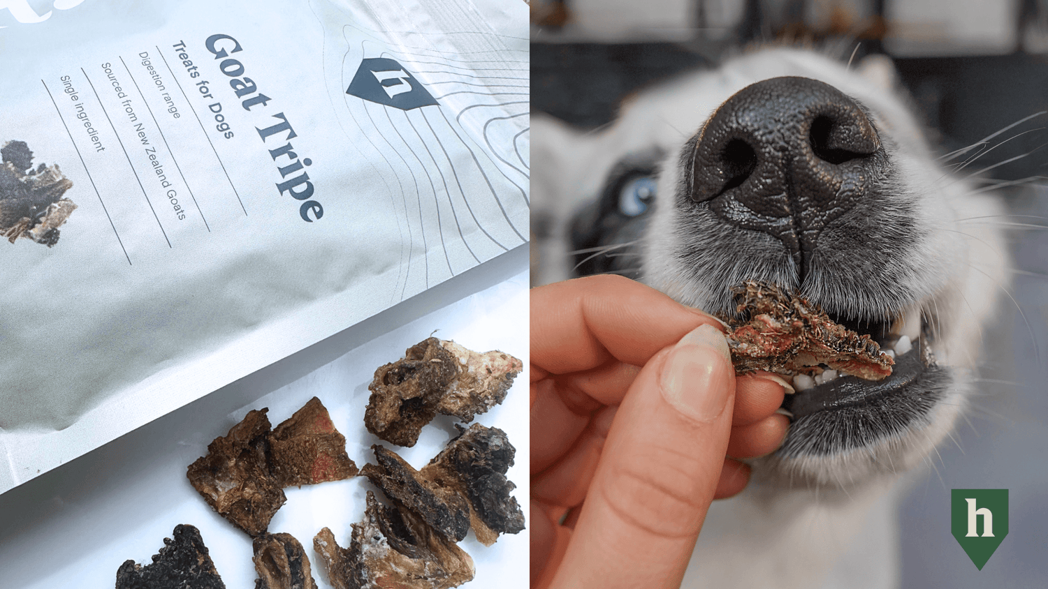 Everything You Need To Know About Goat Tripe Dog Treats