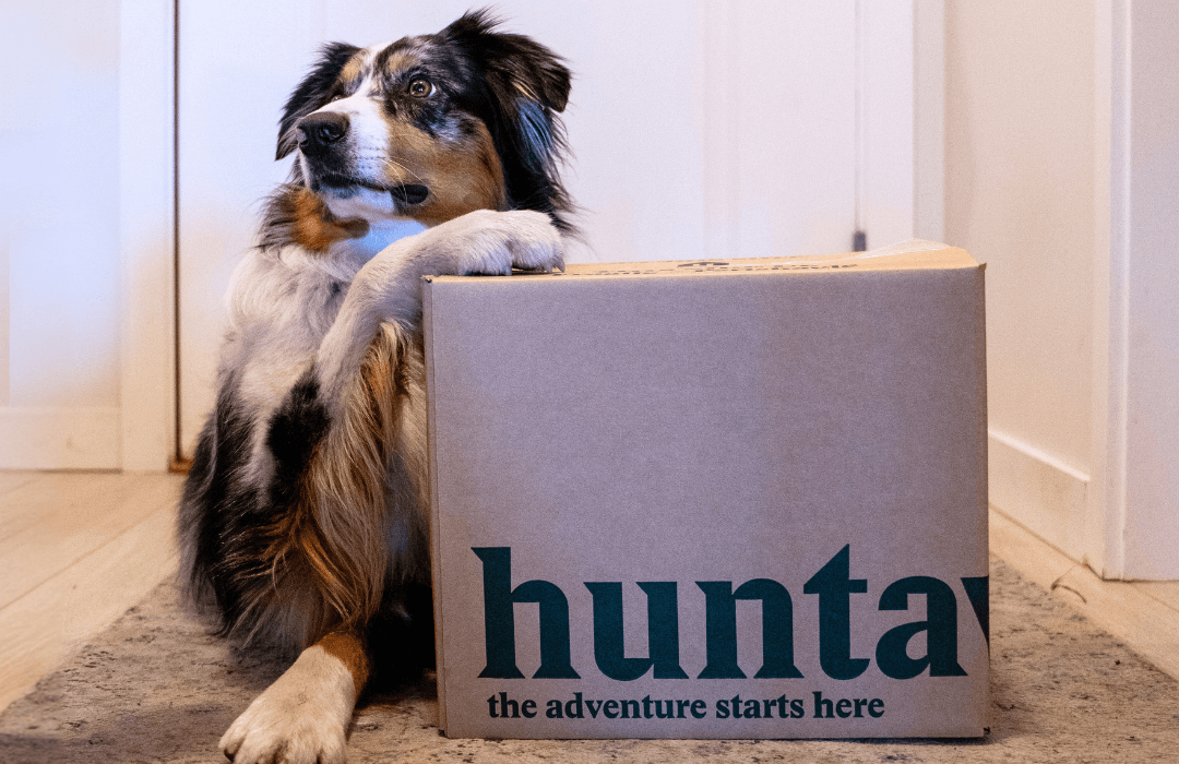 Important Update: Frozen Raw Dog Food