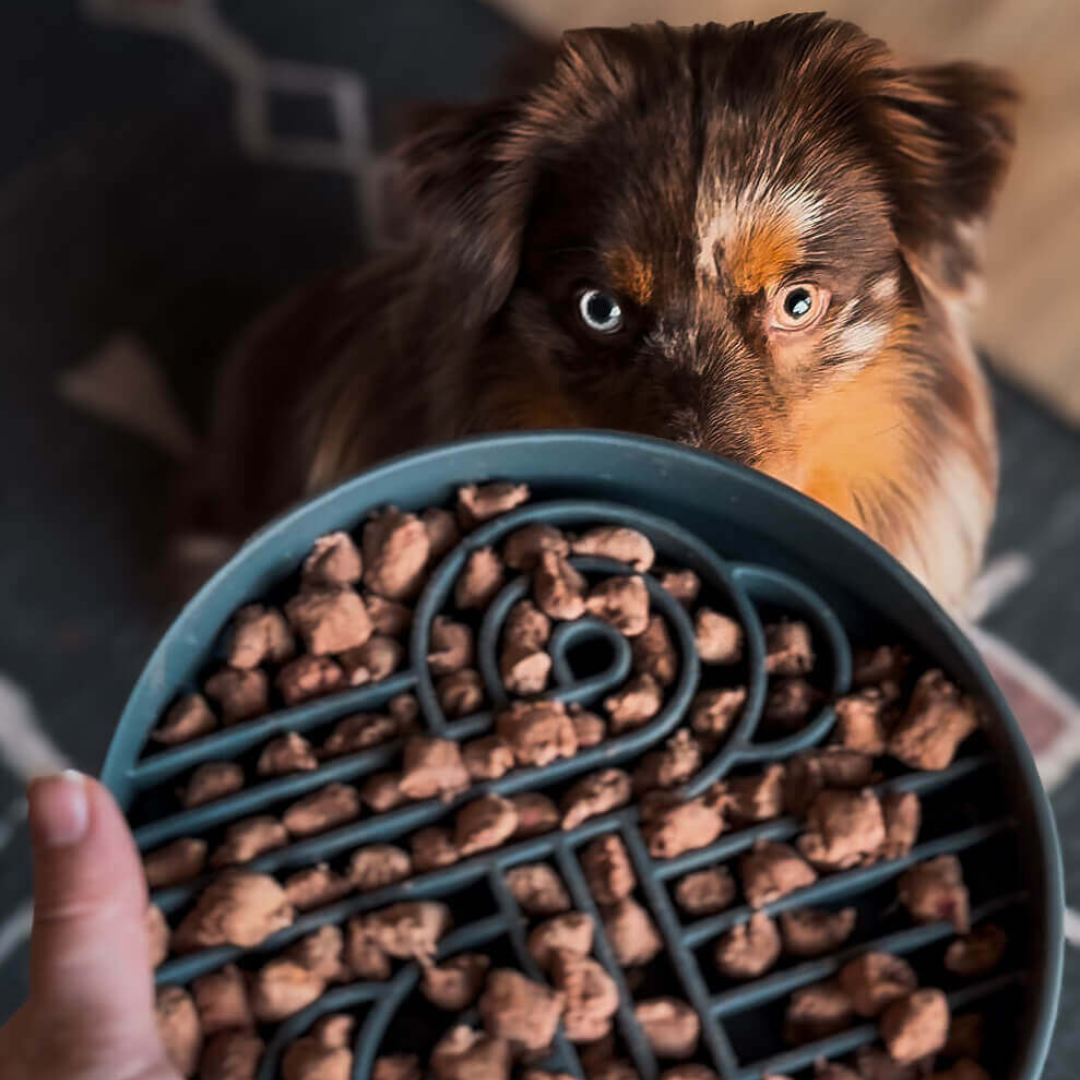 Huntaway Freeze-Dried Raw Venison Dog Food