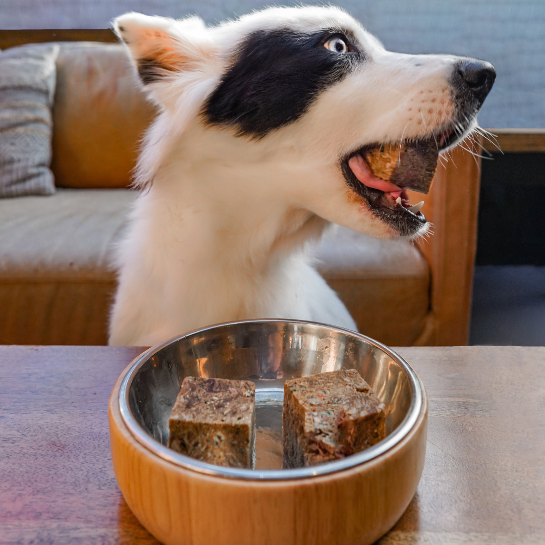 Huntaway Frozen Raw Venison Dog Food