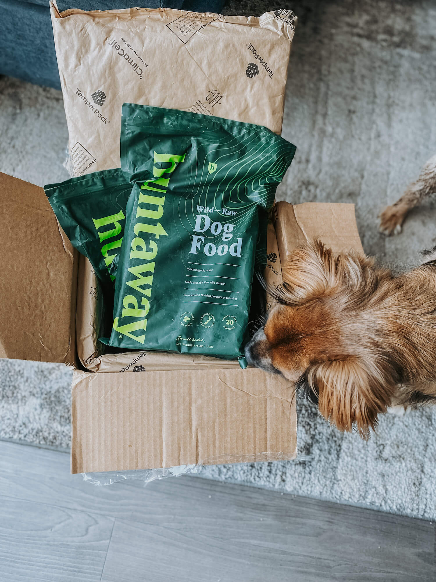 A small dog sniffing a cardboard box containing two bags of Huntaway wild raw venison dog food