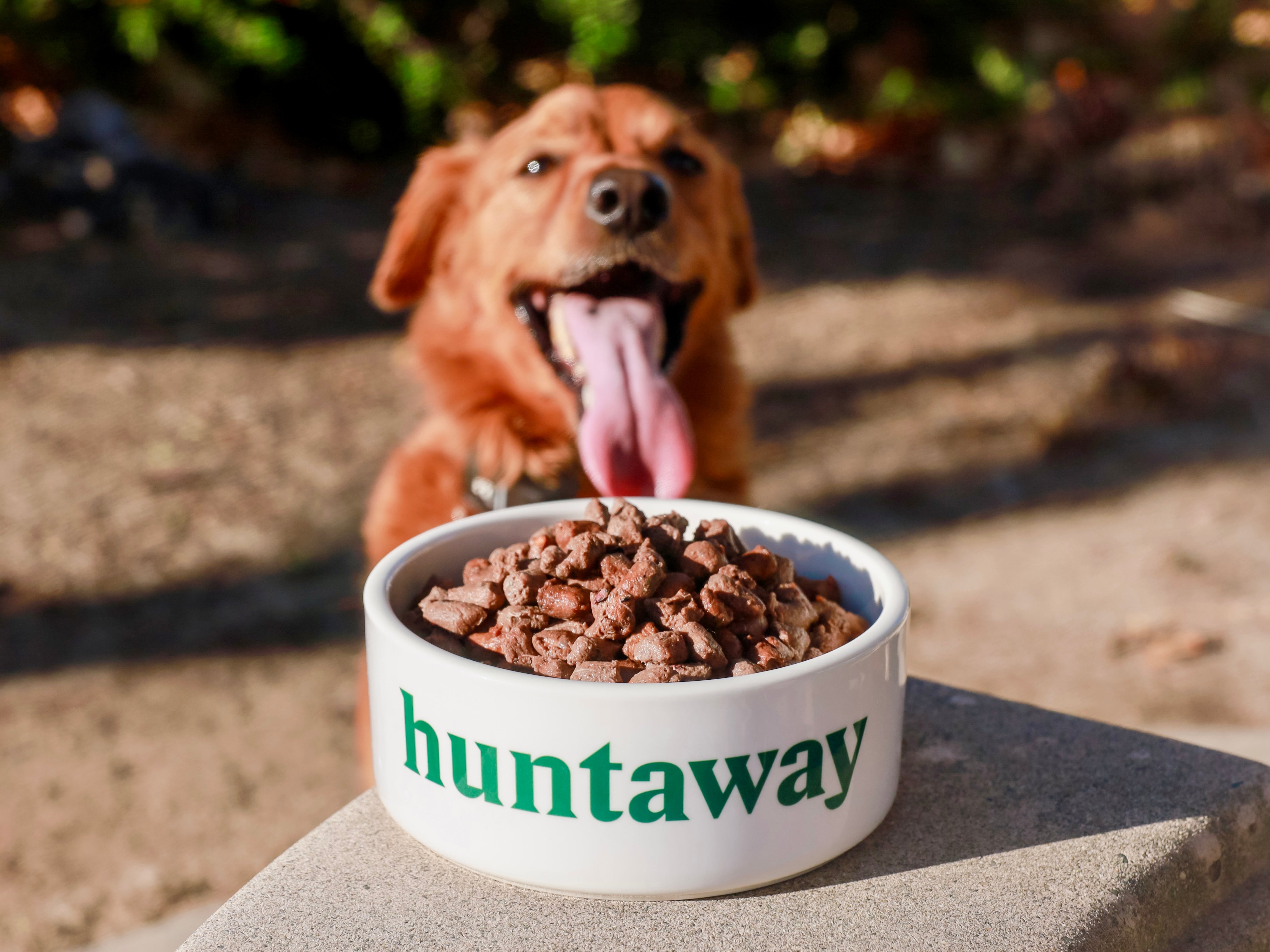 6 Reasons Why Huntaway’s Freeze-Dried Dog Food Makes Raw Feeding Simple