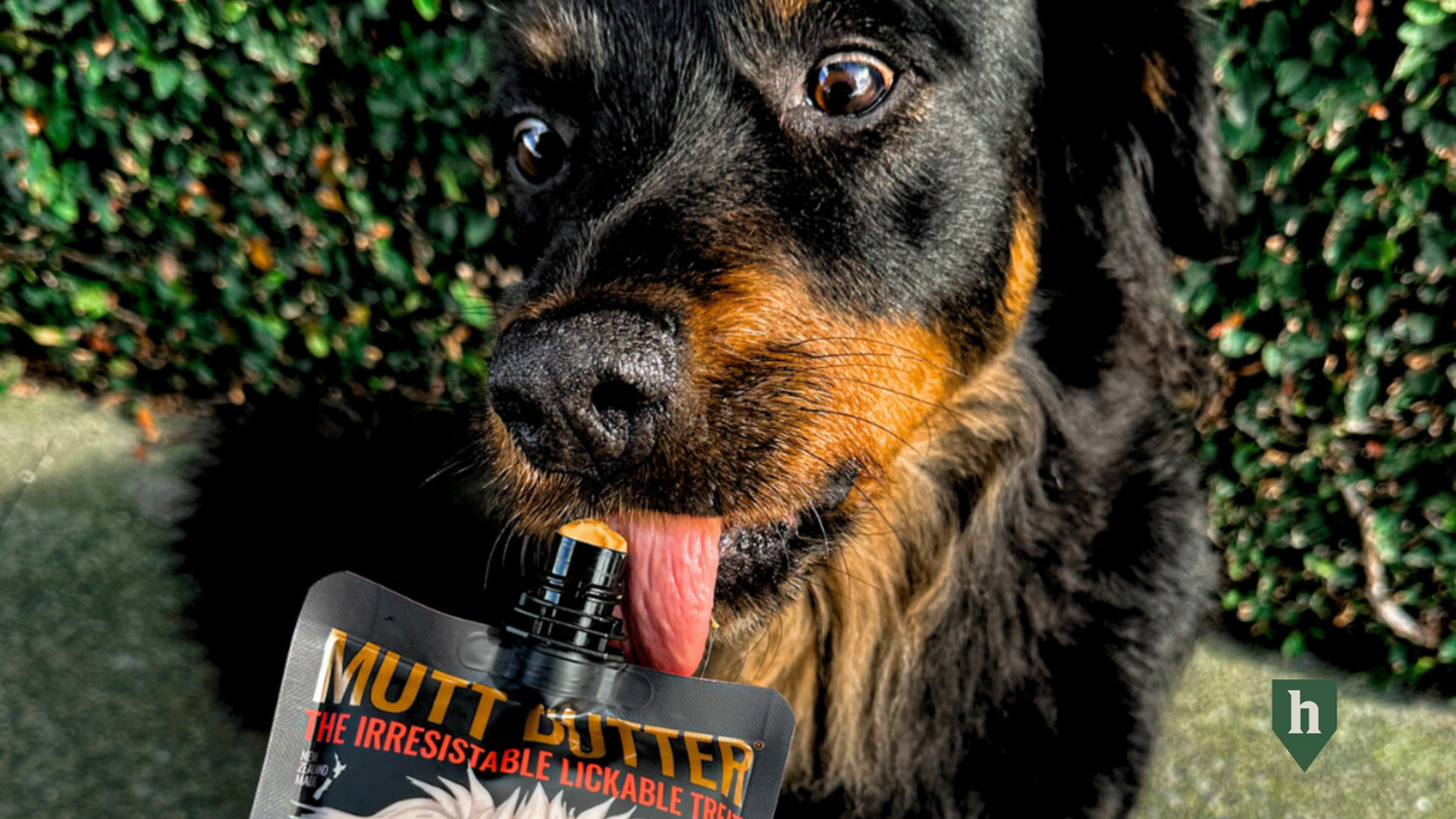 Huntaway launches new peanut butter dog treat