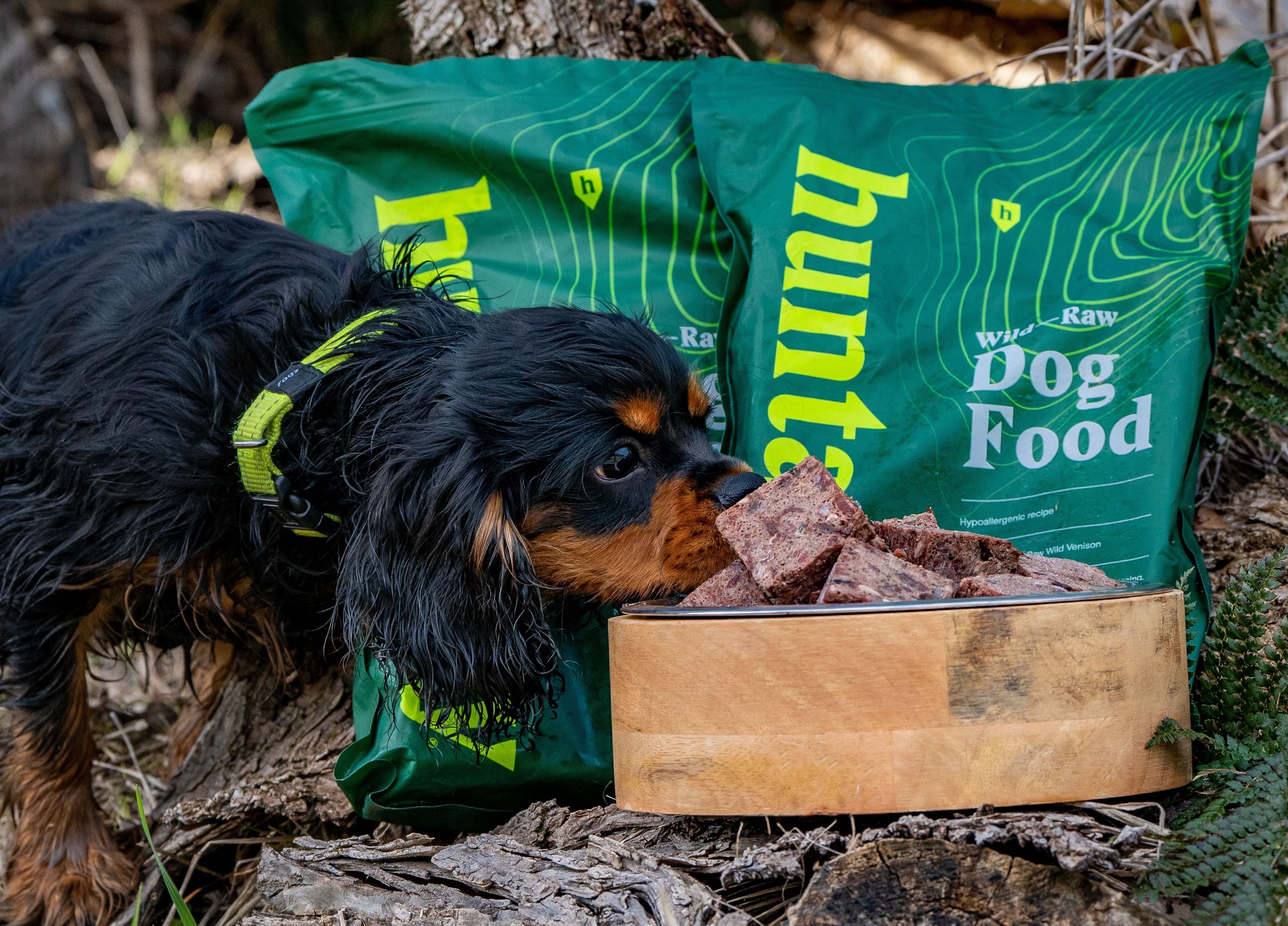Why Are Raw Dog Food Diets a Good Choice?