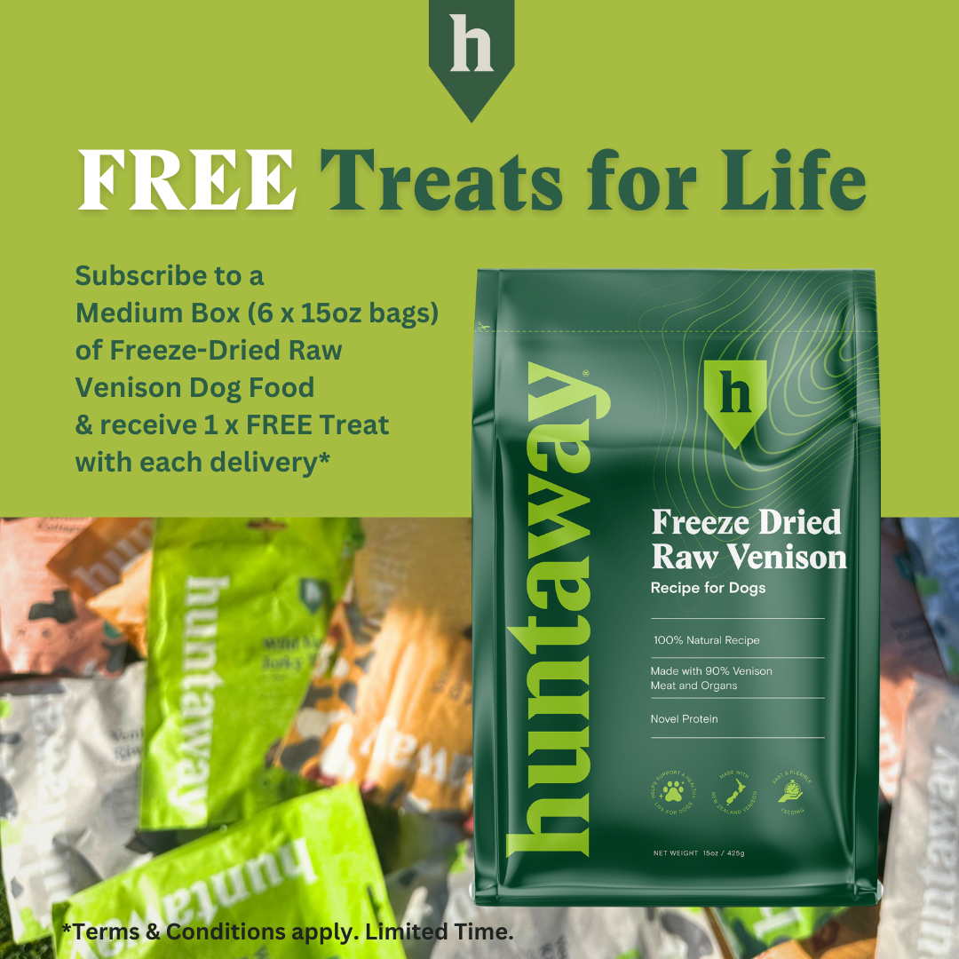 Medium Box Freeze Dried Venison with Treats for Life