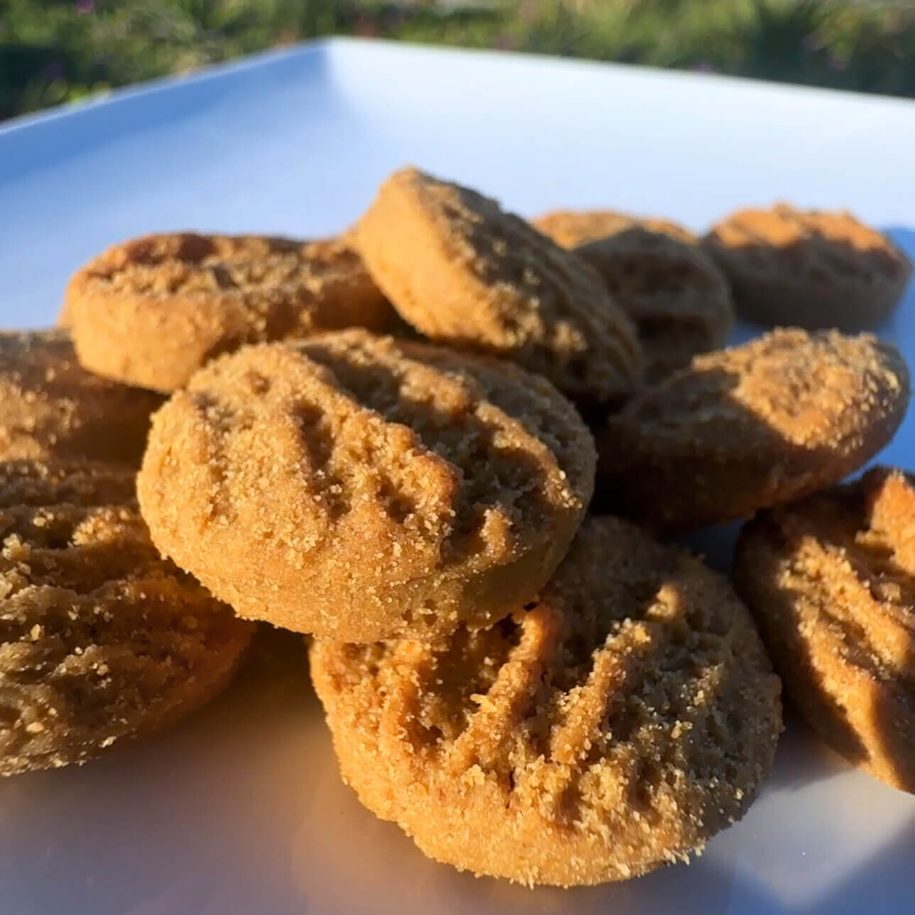 Case of 8 x Mutt Butter Original Peanut Butter Cookies
