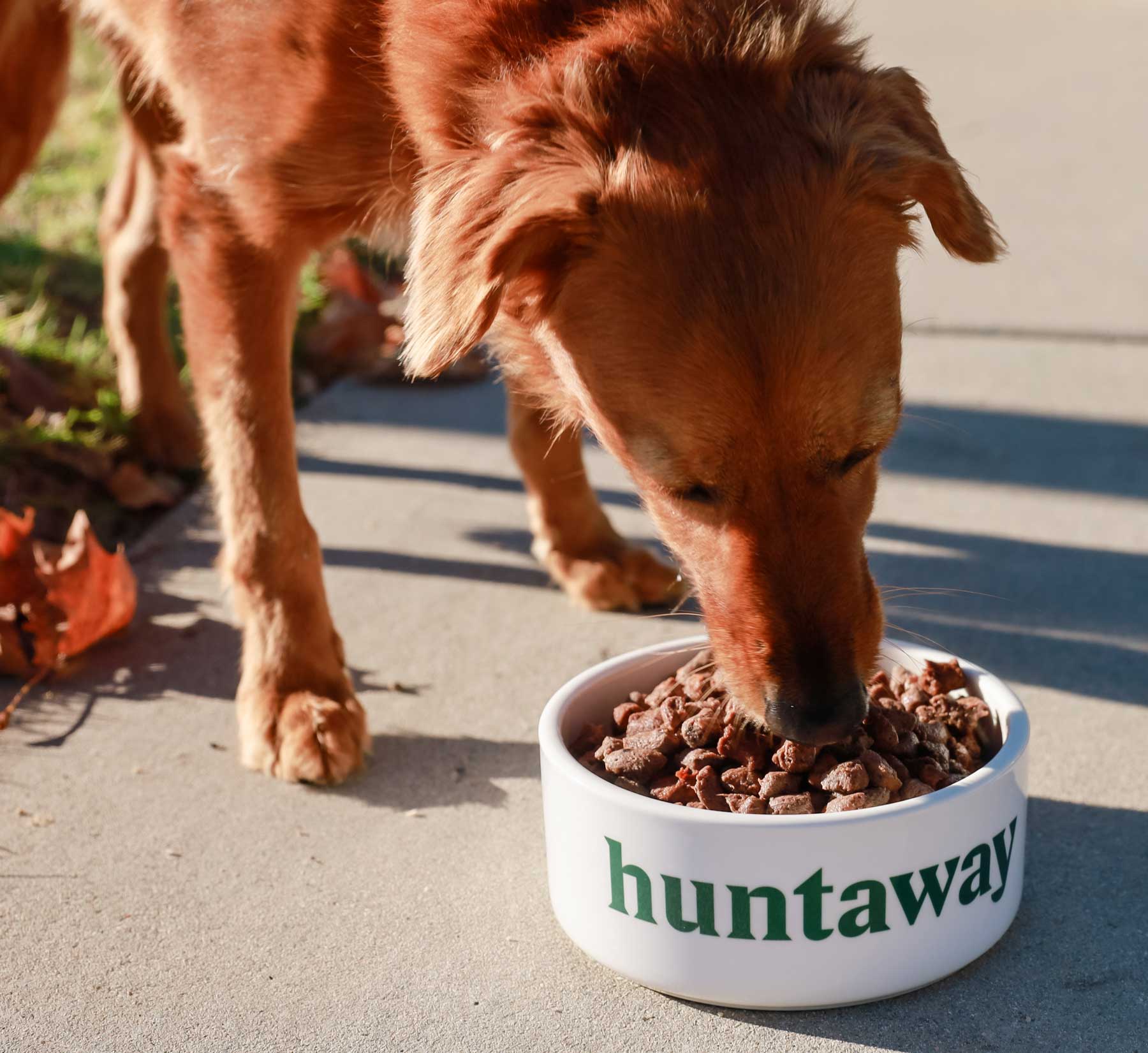 Huntaway Single Freeze-Dried Raw Venison Dog Food Bag